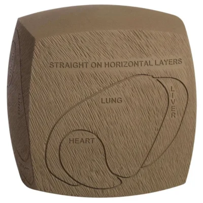 GlenDel Crossbow Buck Core