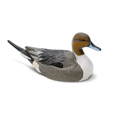 Pintail Decoy Six-Pack  EVA