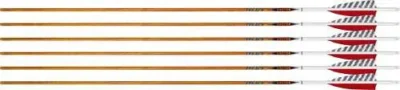 Easton Carbon Legacy Arrows 600 4 in. Feathers 6 pk.