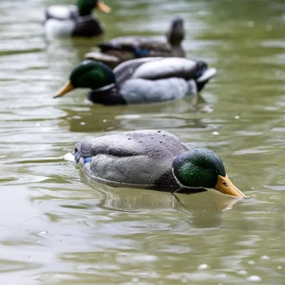 TIP UP MALLARD FEEDER
