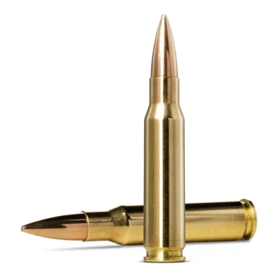 NORMA GLD TARGET 308WIN 175GR 20 RND AMMO