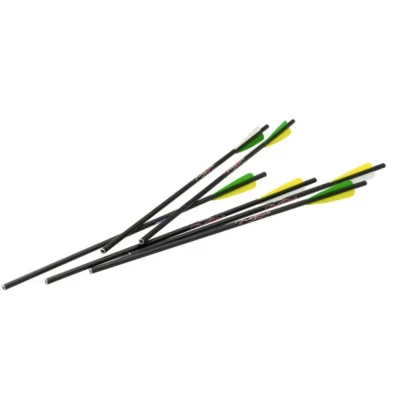 Excalibur Carbon FireBolts 20 in. 6 pk.