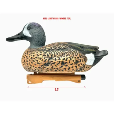Rig Em Right Blue-Winged Teal – Twelve Pack – EVA