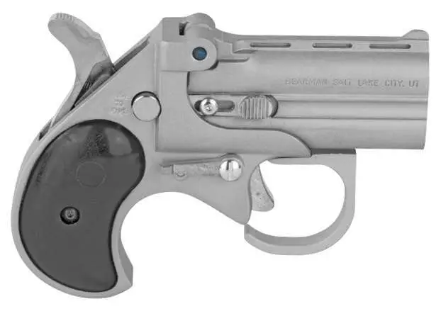 COBRA PISTOL/BEARMAN IND BBG22SB   22 Mag 2.75″ 2rds Satin Nickel W/Black Grips