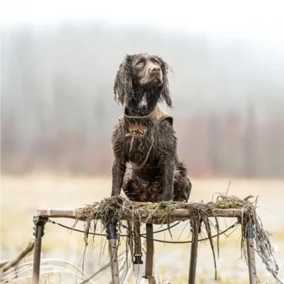 Rig Em Right Swamp Bully Dog Stand