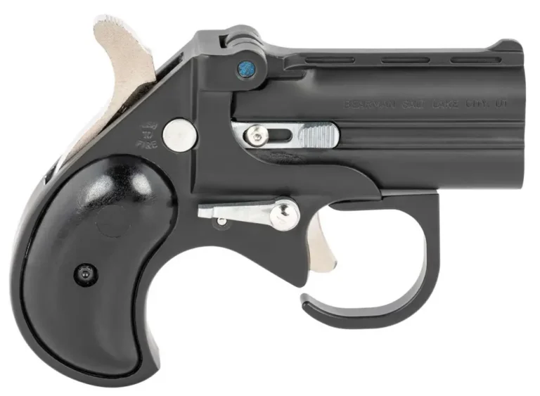 COBRA PISTOL/BEARMAN IND BBG22BB   22 Mag 2.75″ 2rds Black W/Black Grips