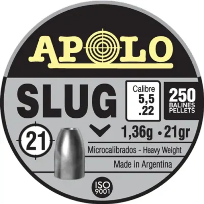 Apolo Slug 21gr 5.5mm .22 Caliber 250-Round
