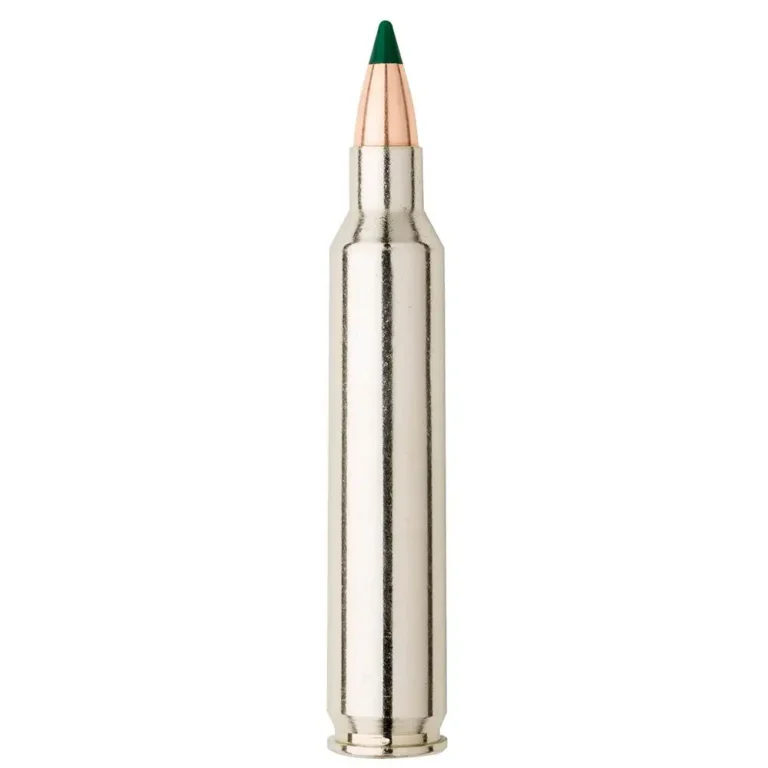 Sierra A103611 GameChanger 204 Ruger 36 gr Sierra BlitzKing 20 Bx/ 10 Cs Sierra A103611 GameChanger 204 Ruger 36 gr Sierra BlitzKing 20 Bx/ 10 Cs