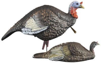 Jake & Jill Combo (1/4 Strutt Jake –  Laydown Hen)