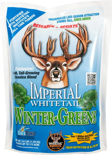 Whitetail Institute Wintergreens Seed 3 lb.