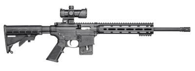 SW M&P15-22 SPORTII 16.5″ 10RD