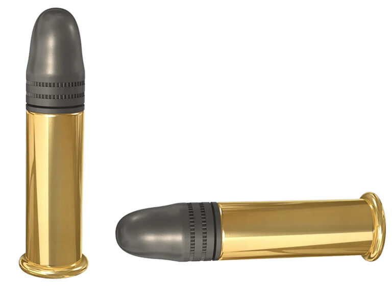 SK .22 LR PISTOL MATCH 50 ROUND AMMO