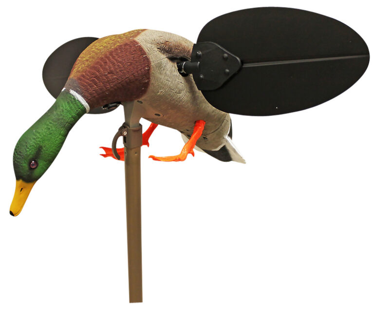 Mojo Outdoors HW2533 Mallard Drake Multi Color Features Remote Control Mojo Outdoors HW2533 Mallard Drake Multi Color Features Remote Control