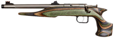 Chipmunk 41105 Hunter Adult 22 Mag 1rd 9″ Threaded Stainless Steel Single Shot Barrel, Camo Laminate Stock