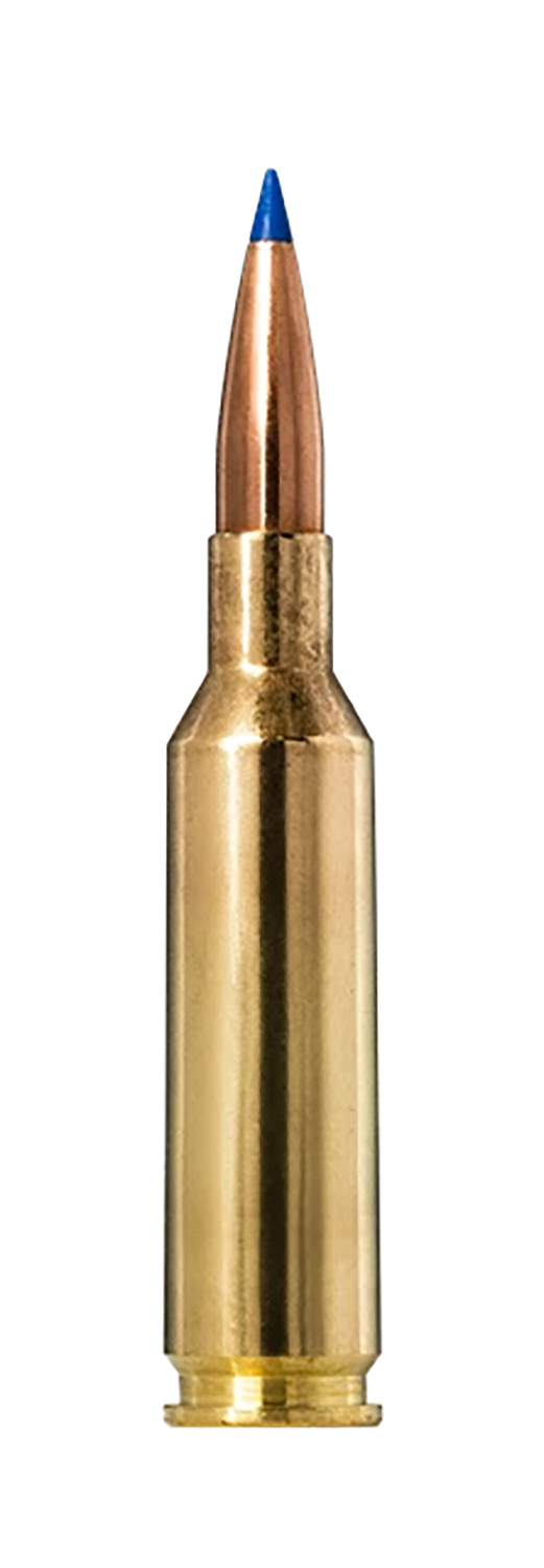 Norma Ammunition 20160492 Bondstrike 6mm 105gr 20 Per Box/10 Case Norma Ammunition 20160492 Bondstrike 6mm 105gr 20 Per Box/10 Case