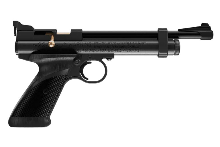 Daisy 2240 2240 Black Polymer CO2 22 Cal, Single Shot Bolt Action Daisy 2240 2240 Black Polymer CO2 22 Cal, Single Shot Bolt Action