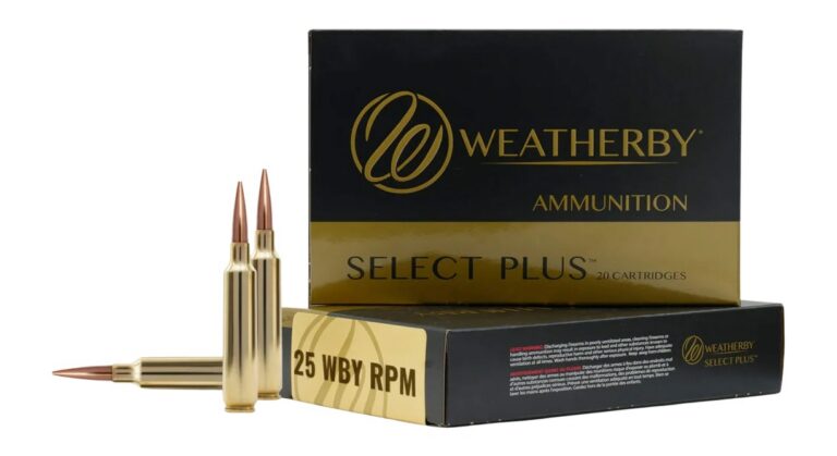 WBY AMMO 25WBY RPM 117GR HORNADY SST 20/10