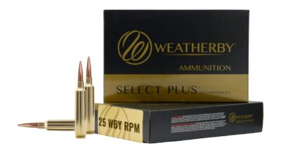 WBY AMMO 25WBY RPM 117GR BARNES LRX 20/10