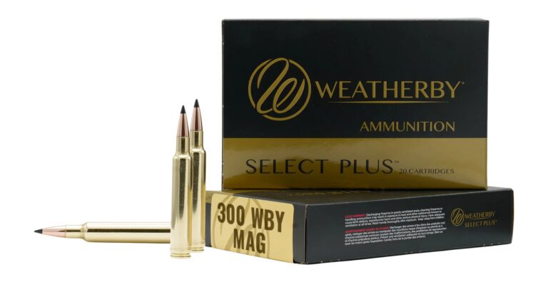 WTHBY M300195HCB   300 WBY 195GR HAMMER      20/10