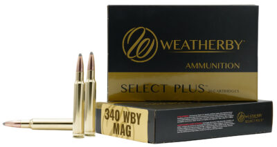 WBY AMMO 340WBY 225GR TTSX 20/10