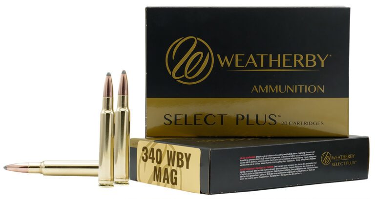 WBY AMMO 340WBY 225GR TTSX 20/10