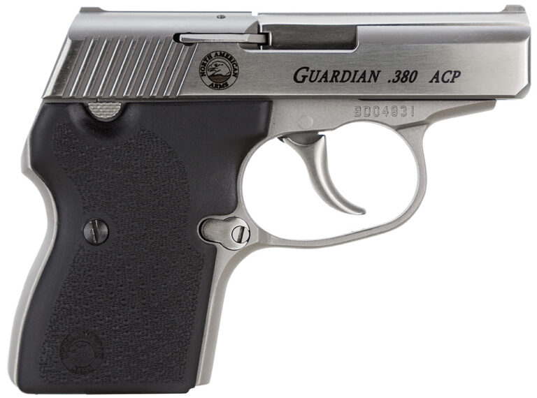 380ACP GUARDIAN SS 2.49″ 6+1 380ACP GUARDIAN SS 2.49″ 6+1