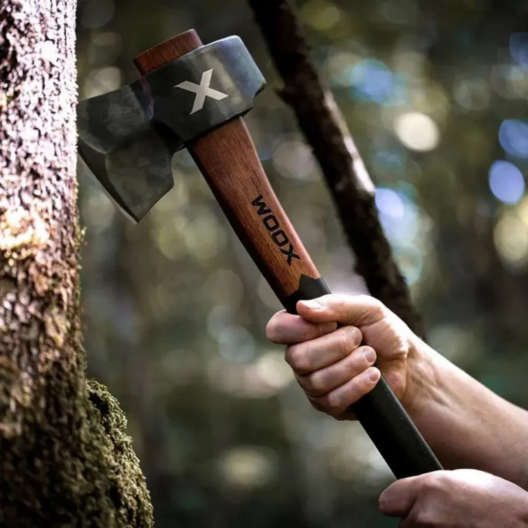 WOOX AX Forte