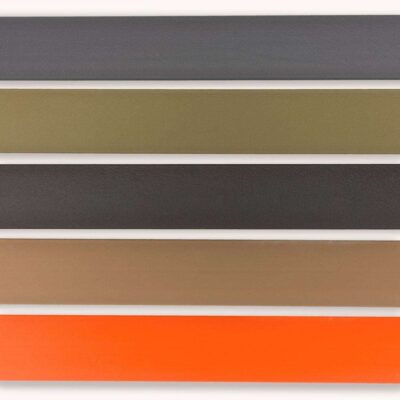 Apogee Belt  Grey buckle/grey belt