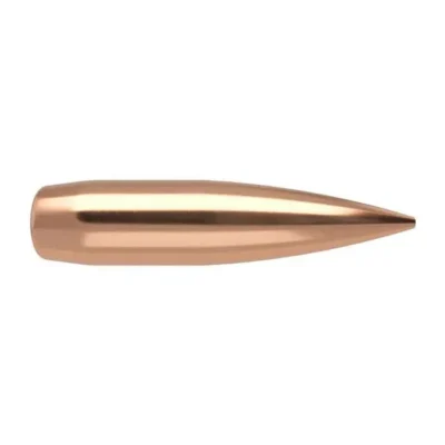 RDF 30 175 HPBT-500 ct bullet