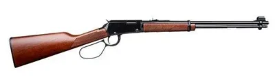 HENRY CLASSIC LRG LOOP 22WMR