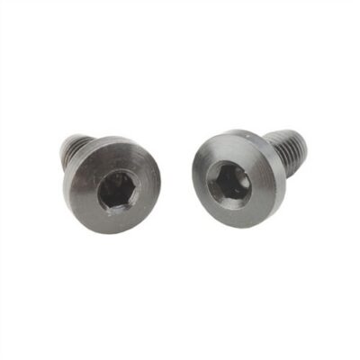 1911 ALLEN HEAD GRIP SCREWS ALLEN HEAD GRIP SCREWS BLUED QUANITY 4