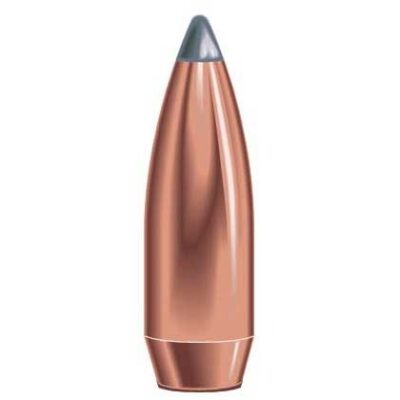 SPEER SP 375 CAL 270GR SPITZER BT 50/B