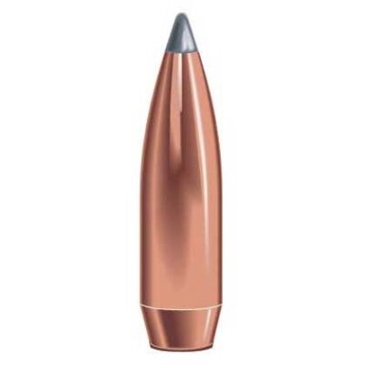 SPEER SP 30 CAL.308-180 SPITZER BT