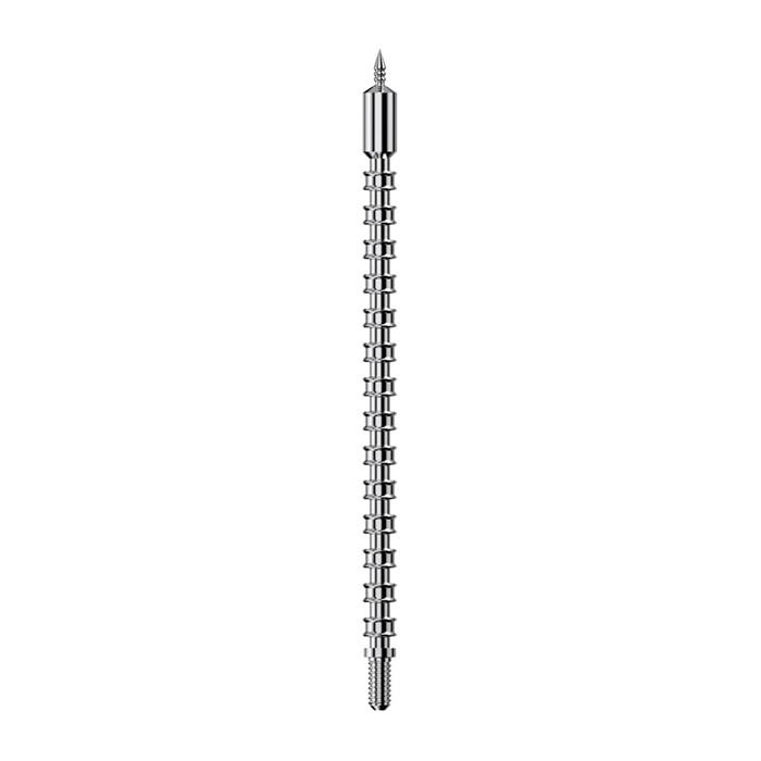 Real Avid AVBMJAG243 Bore-Max Speed Jag 6mm/243 Cal Rifle Firearm 8-32″ Thread Nickel-Plated Includes 25 Speed Patches Real Avid AVBMJAG243 Bore-Max Speed Jag 6mm/243 Cal Rifle Firearm 8-32″ Thread Nickel-Plated Includes 25 Speed Patches