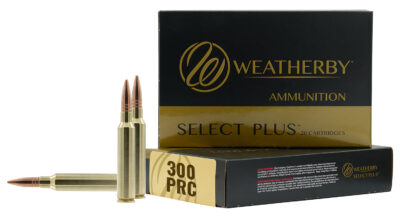 300PRC 195GR HAMMER CUSTOM