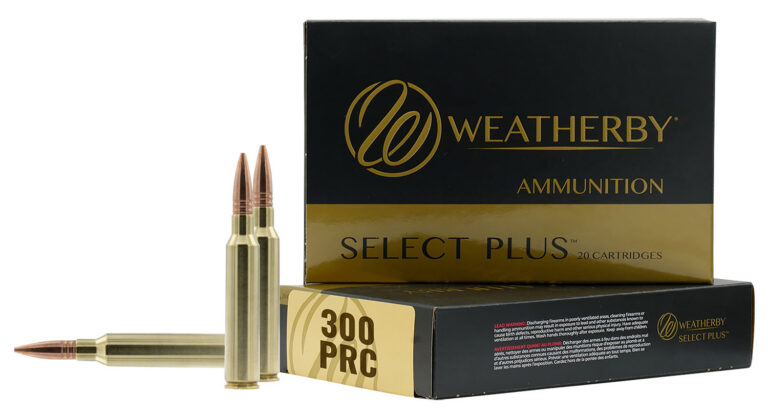 300PRC 195GR HAMMER CUSTOM