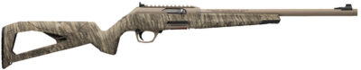 WIN WILDCAT MOBL FDE SR 22LR 16.5 10RD
