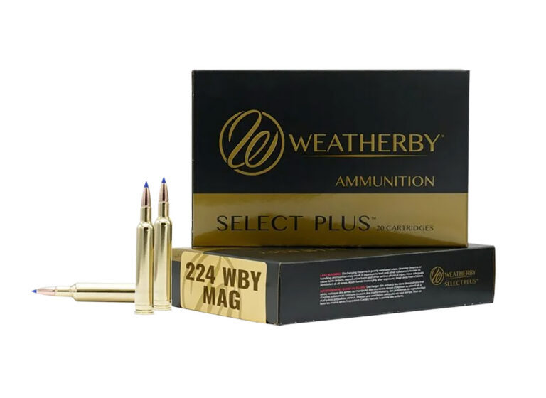 WBY AMMO 224WBY 37GR HAMMER CUSTOM 20/10