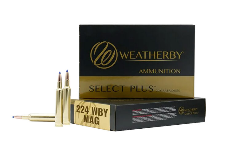 WBY AMMO 224WBY 80.5GR BERGER FBT 20/10