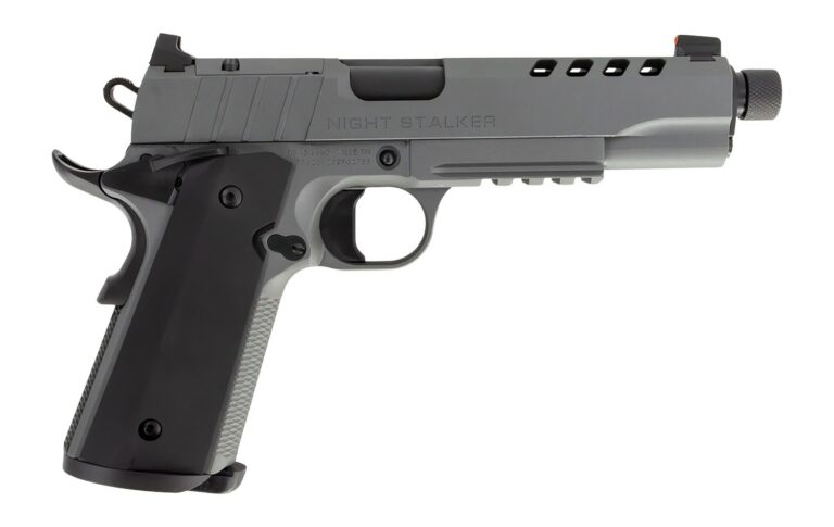 TISAS 1911 NGT STLKR 45ACP 5″ 8RD TISAS 1911 NGT STLKR 45ACP 5″ 8RD
