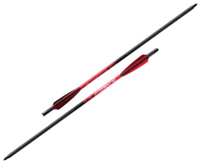 Barnett Demun C10 Hyperbolts 10 in. 6 pk.