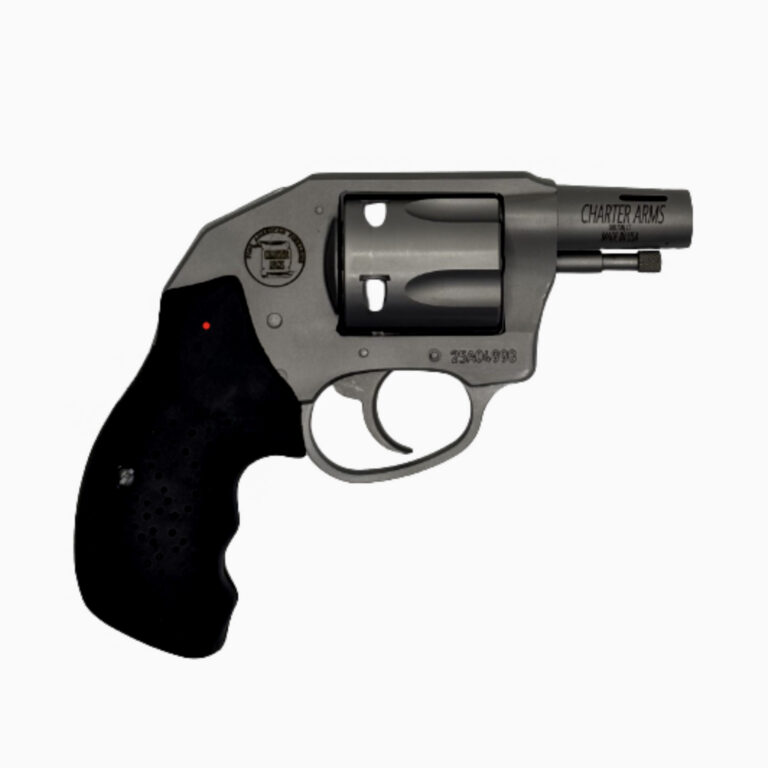 CHARTER ARMS BOOMER 9MM 2IN BARREL 5RD STAINLESS STEEL ALUM FRAME SMOOTH WOOD GRIP CONCEALED HAMMER 79959