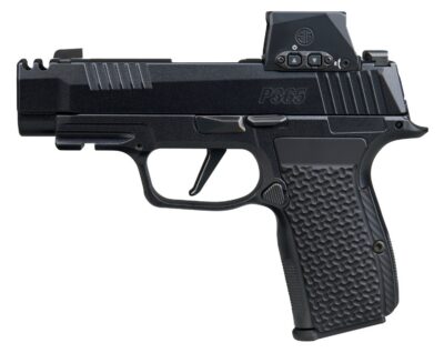 SIG P365 LUX 380ACP 3.1″ BL 12R RXSL