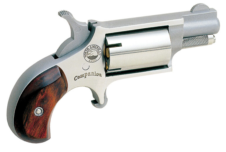 NAA 22LRCB Companion Black Powder Revolver .22 Cal. #11 Perc. Cap Stainless 1.13 in. 5 rd. NAA 22LRCB Companion Black Powder Revolver .22 Cal. #11 Perc. Cap Stainless 1.13 in. 5 rd.