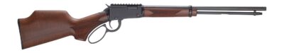 HEN BANDIT LVR 22WMR