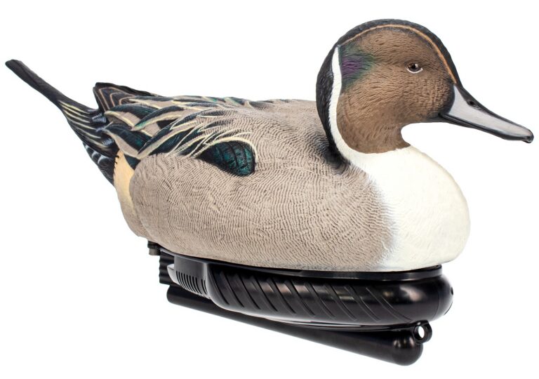AVIAN AVX-PSW-PNSW POWER SWIMMER PINTAIL DRAKE AVIAN AVX-PSW-PNSW POWER SWIMMER PINTAIL DRAKE