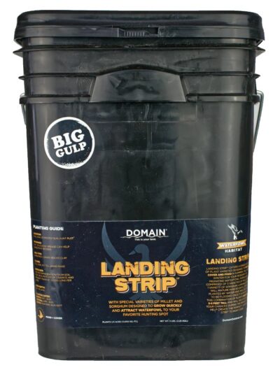 Domain Landing Strip Seed 1/4 Acre