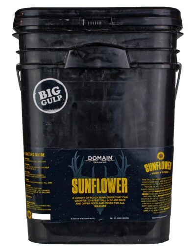 DOMAIN DSS3LB      SUNFLOWER
