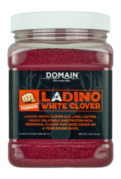 Domain White Clover Pounder Seed 1/16 Acre