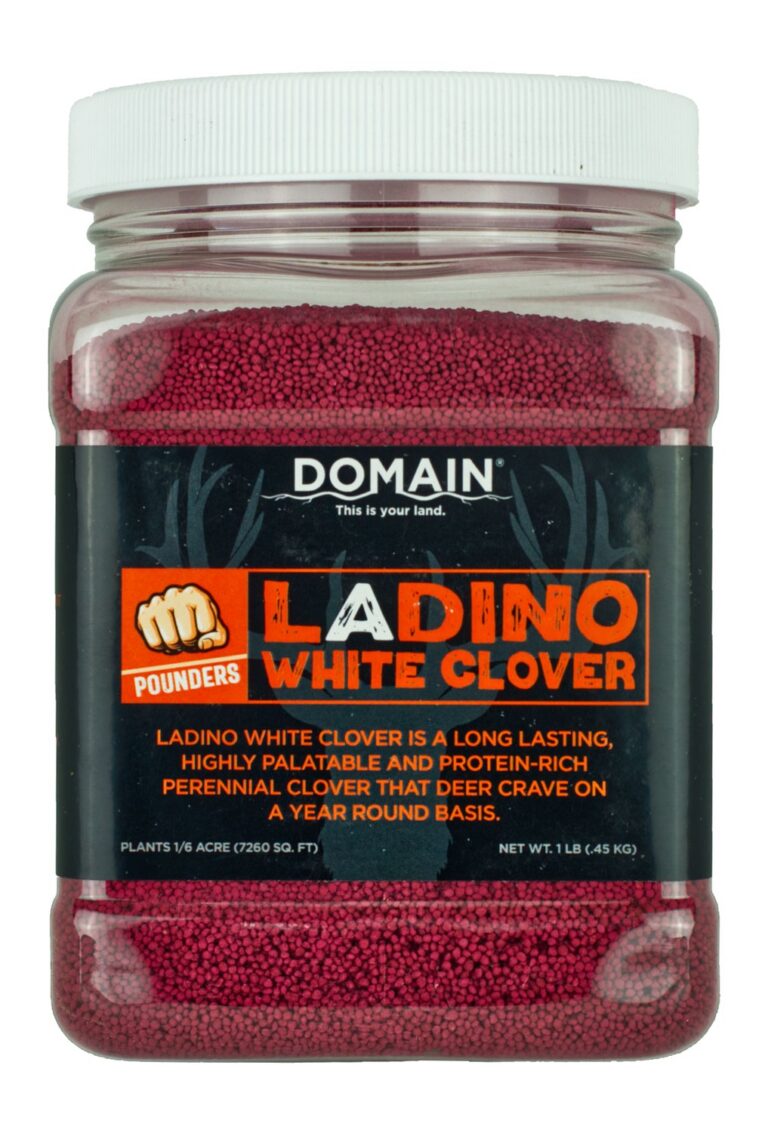 Domain White Clover Pounder Seed 1/16 Acre Domain White Clover Pounder Seed 1/16 Acre